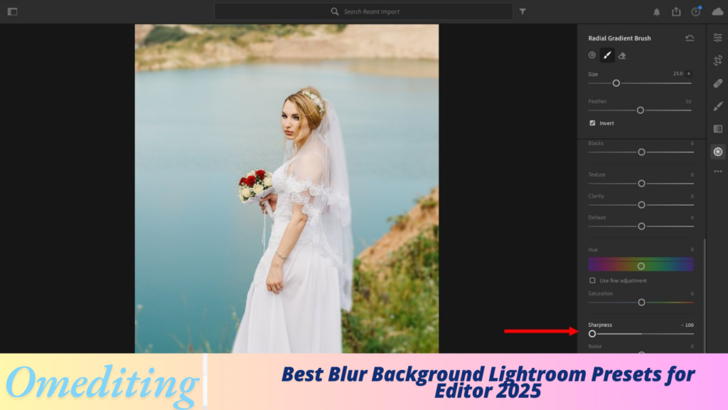 Best Blur Background Lightroom Presets for Editor 2025 Best Blur Background Lightroom Presets for Editor 2025